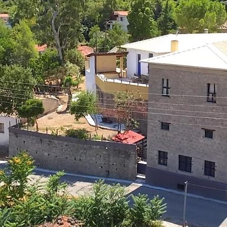 The Old Olive Mill House Βίλα Aegae Εξωτερικό φωτογραφία