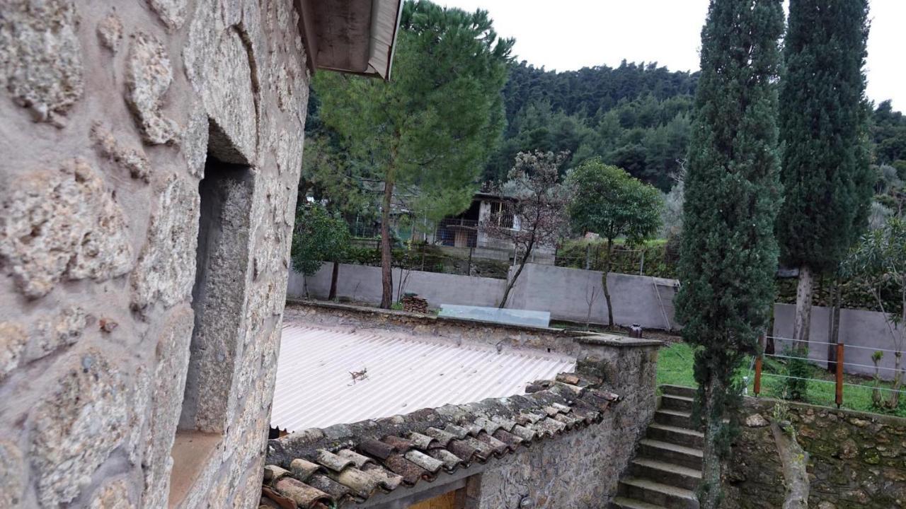 The Old Olive Mill House Βίλα Aegae Εξωτερικό φωτογραφία