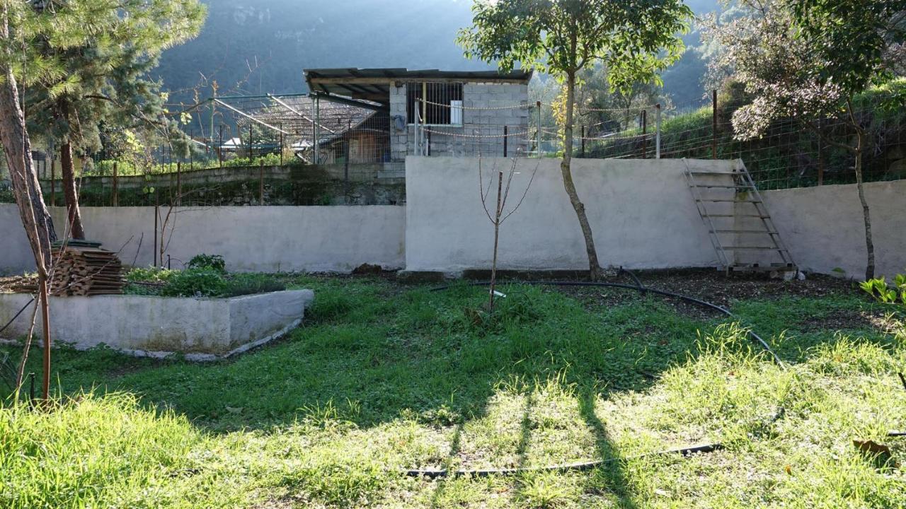 The Old Olive Mill House Βίλα Aegae Εξωτερικό φωτογραφία