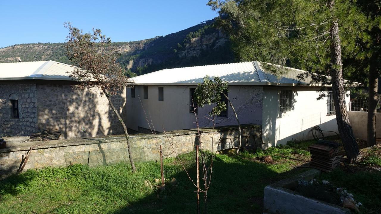 The Old Olive Mill House Βίλα Aegae Εξωτερικό φωτογραφία
